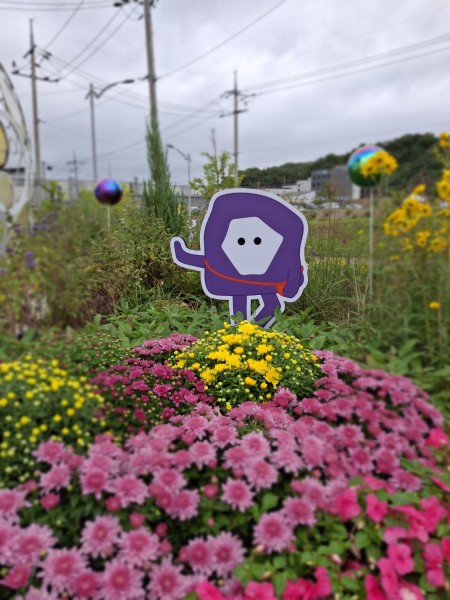 꽃이 가득한 엑스포